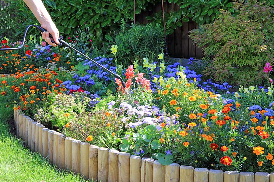 Very colourful garden beds being tended by a gardener